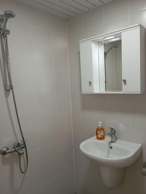 Gradina Apartment Montana Exteriér fotografie